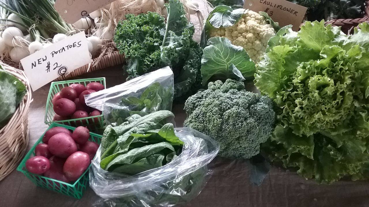 Cartwright Downtown Farmer's Market photo 4