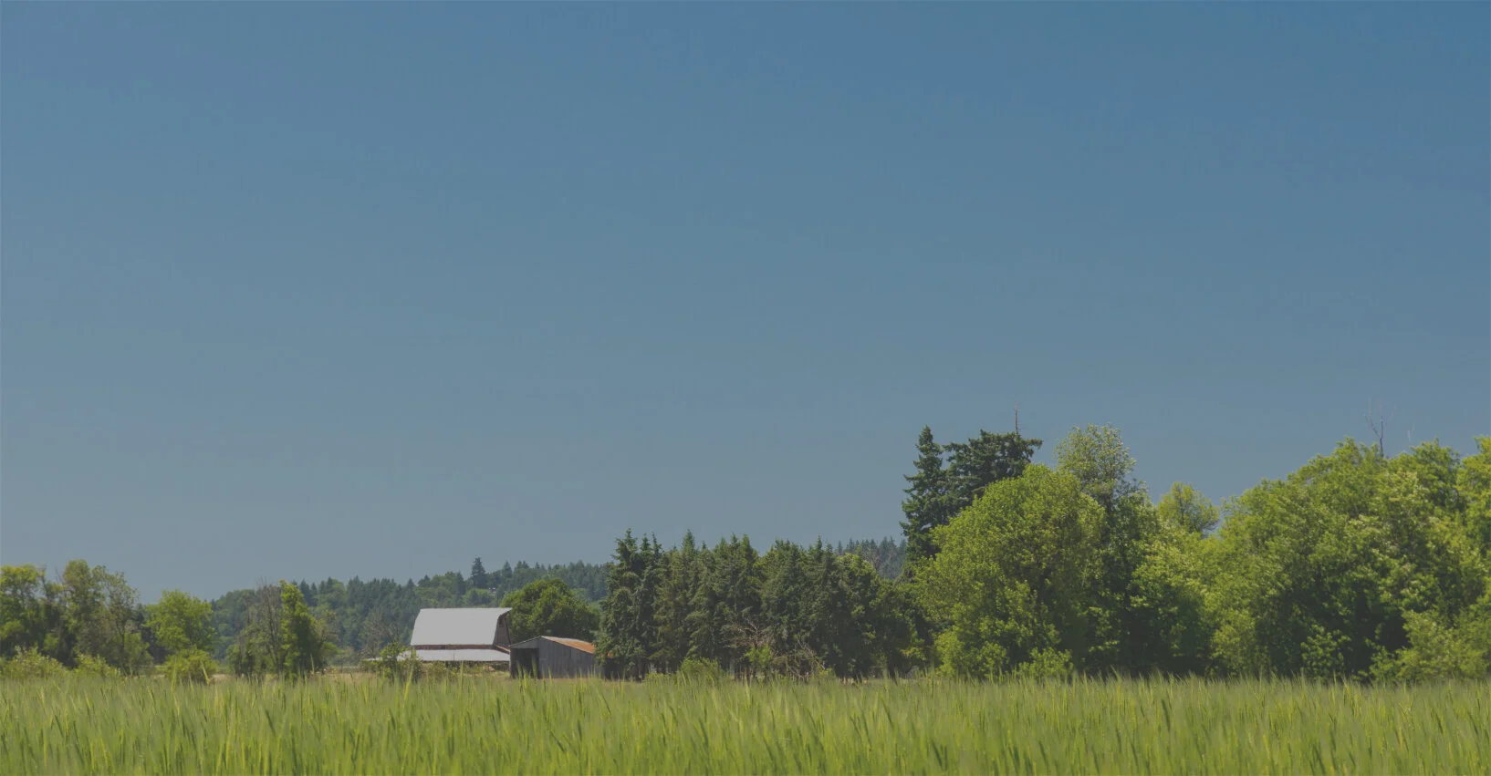 Camas Country Mill photo 8