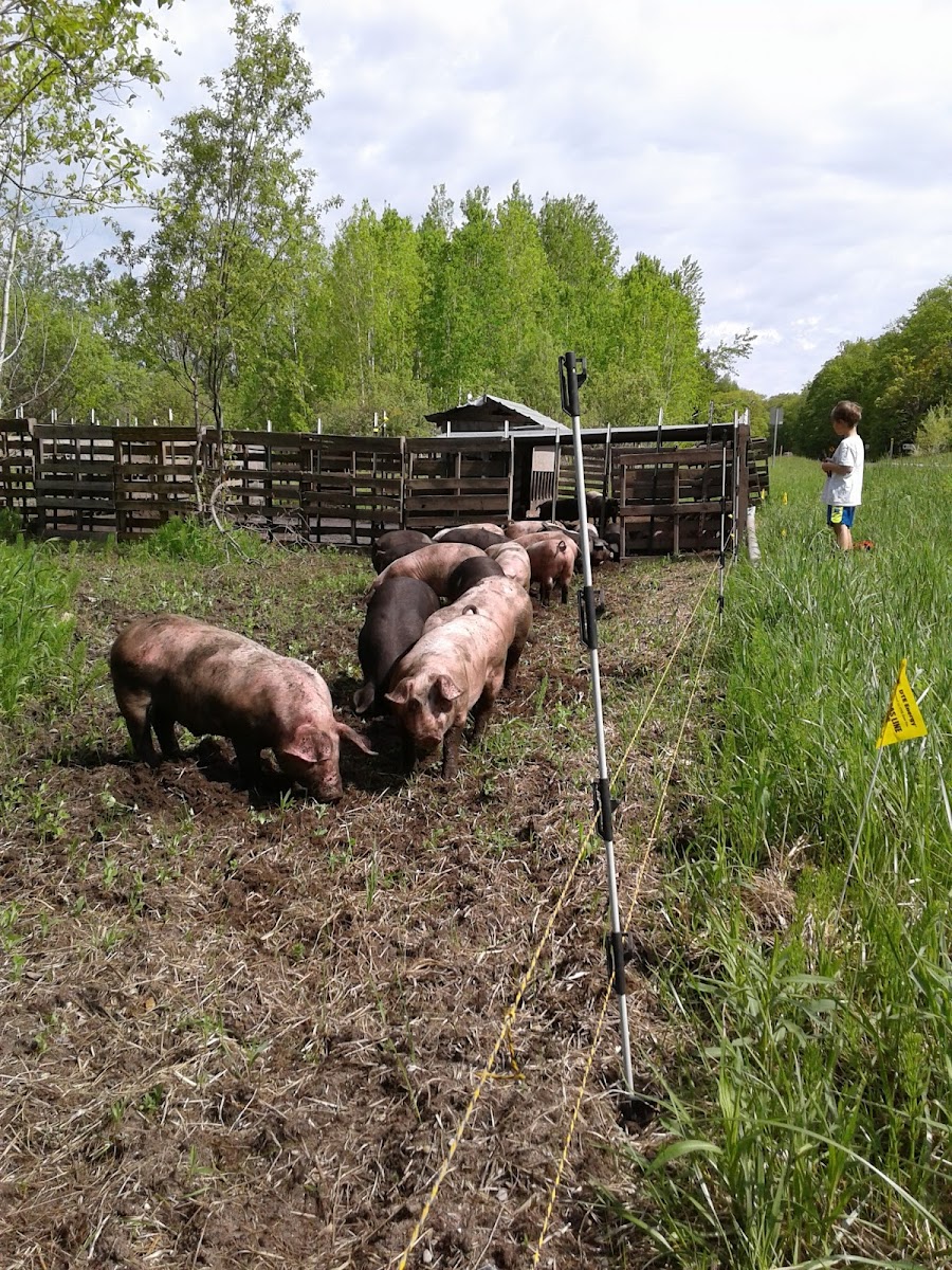 CLEAN PLATE FARM photo 3