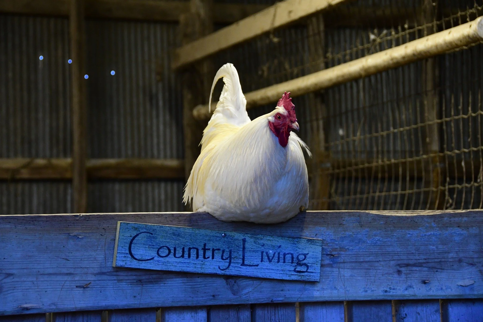 Pleasant Ridge Farms