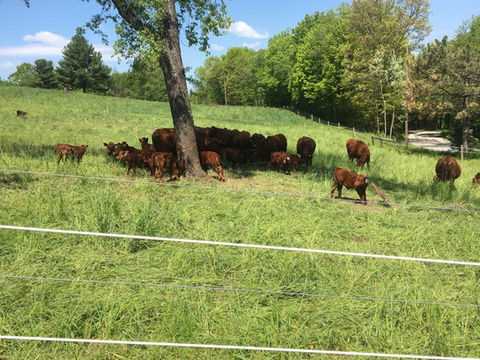 Three D Ranch, LLC photo 5