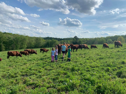Three D Ranch, LLC photo 4