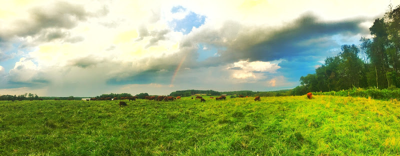 Three D Ranch, LLC photo 2