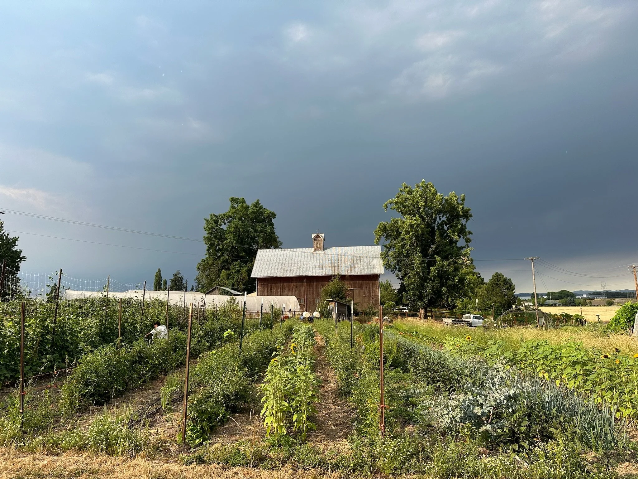 La Finquita Del Buho