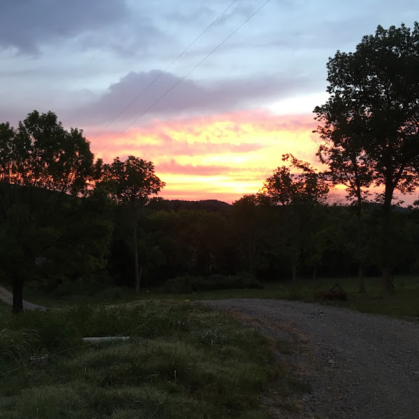 Whitaker Farms photo 2