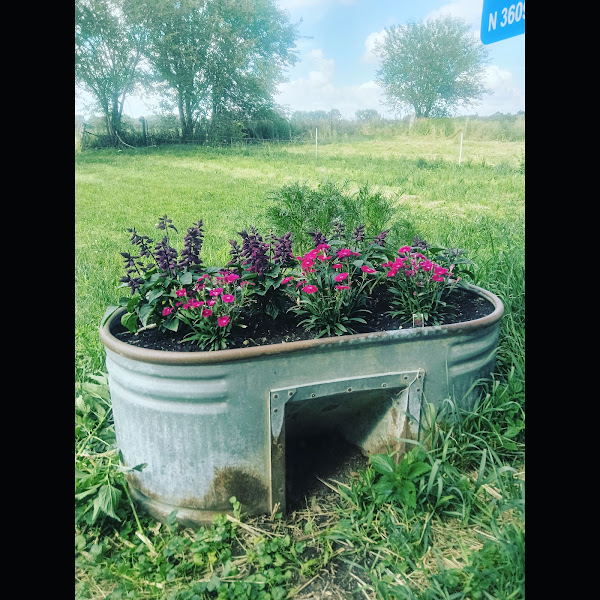 Cedar Valley Sustainable Farm