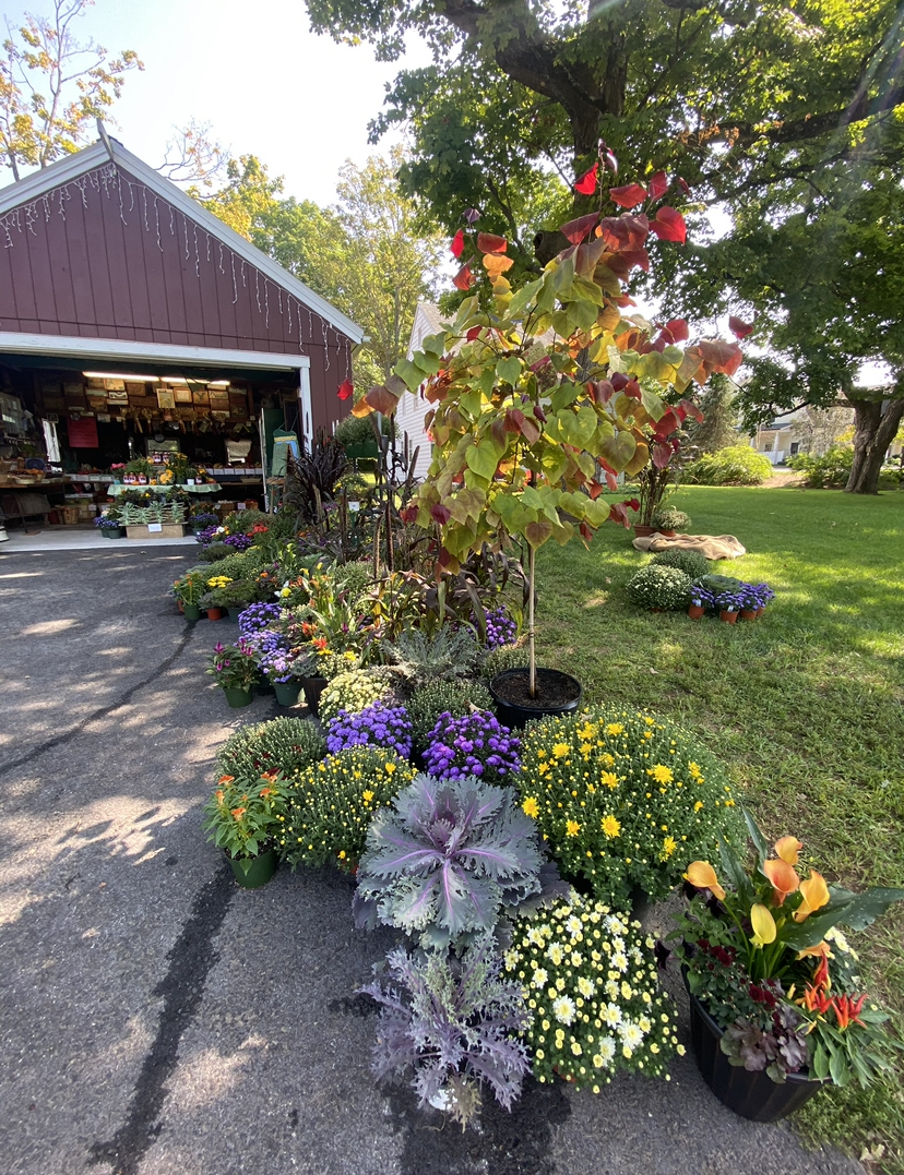 Pete's Produce (Farm Stand)