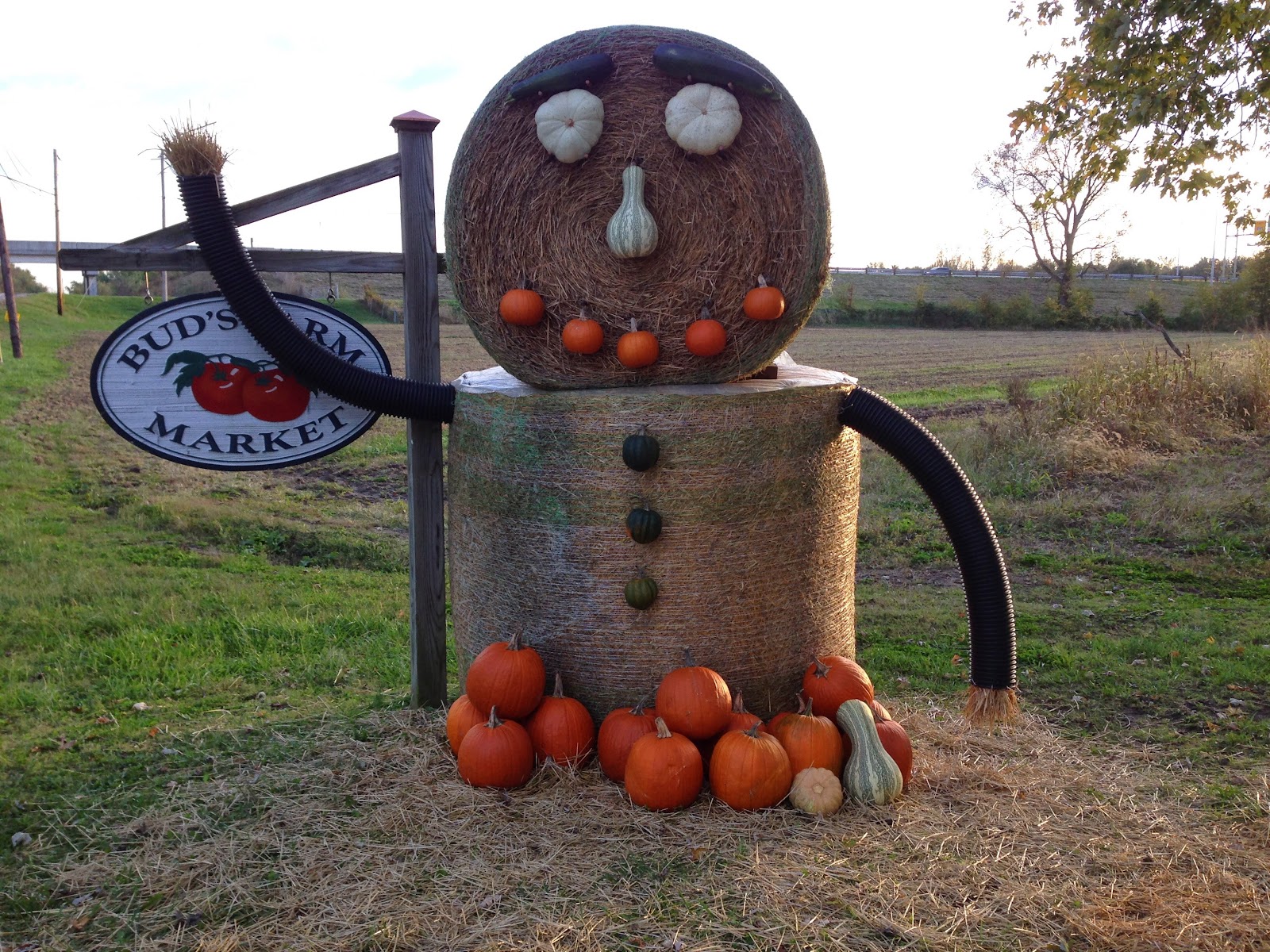 Bud's Farm Market photo 3