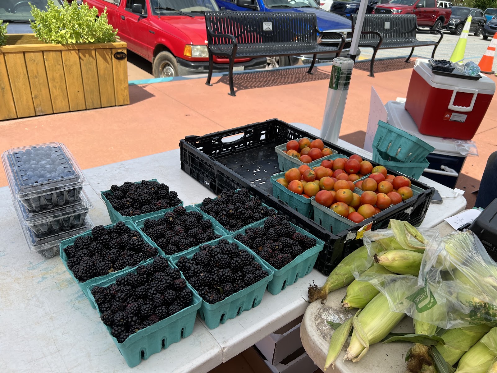 Hub City Farmers' Market photo 5