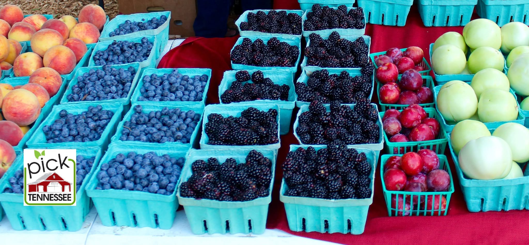 Farm Park Farmers' Market