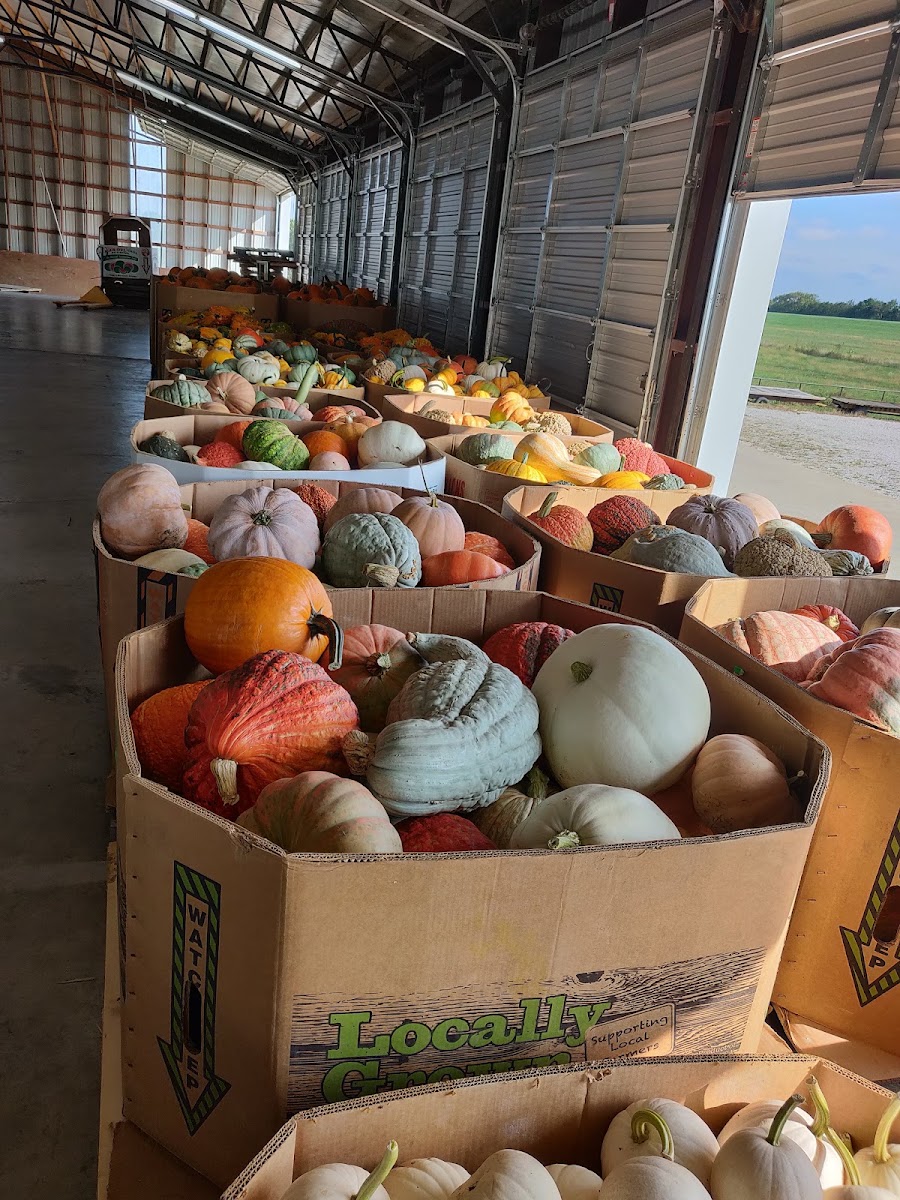 Central Missouri Produce Auction