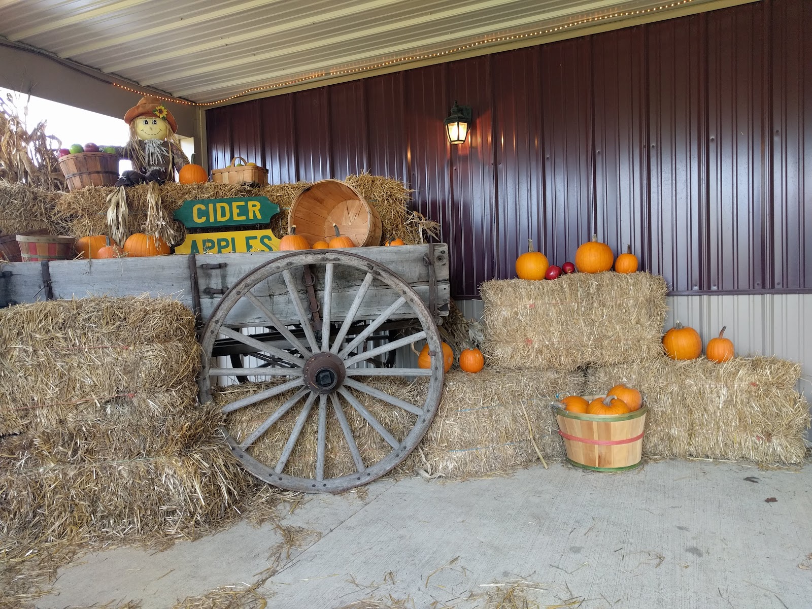 Hillside Orchard and Farm Market photo 4