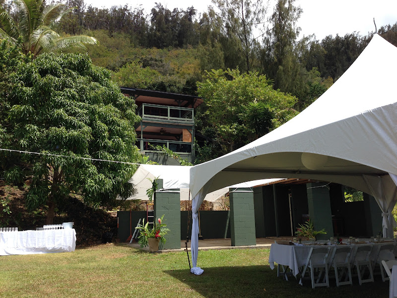 Waihuena Farm photo 13