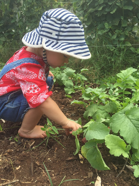 Waihuena Farm photo 14