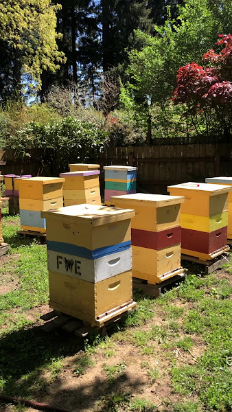 Raw Oregon Honey photo 2