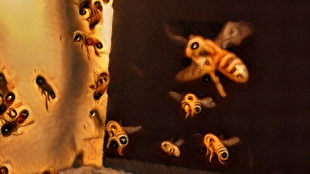 Raw Oregon Honey photo 3