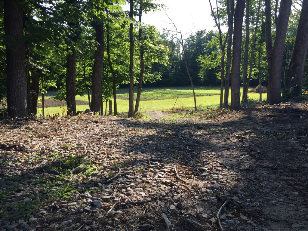 Aukerman Creek Farm photo 2