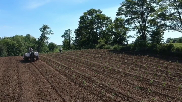 Mt. Folly Farm | Laura Freeman