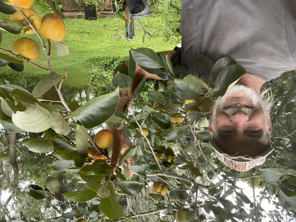 Eat Your Yard Jax, Inc.