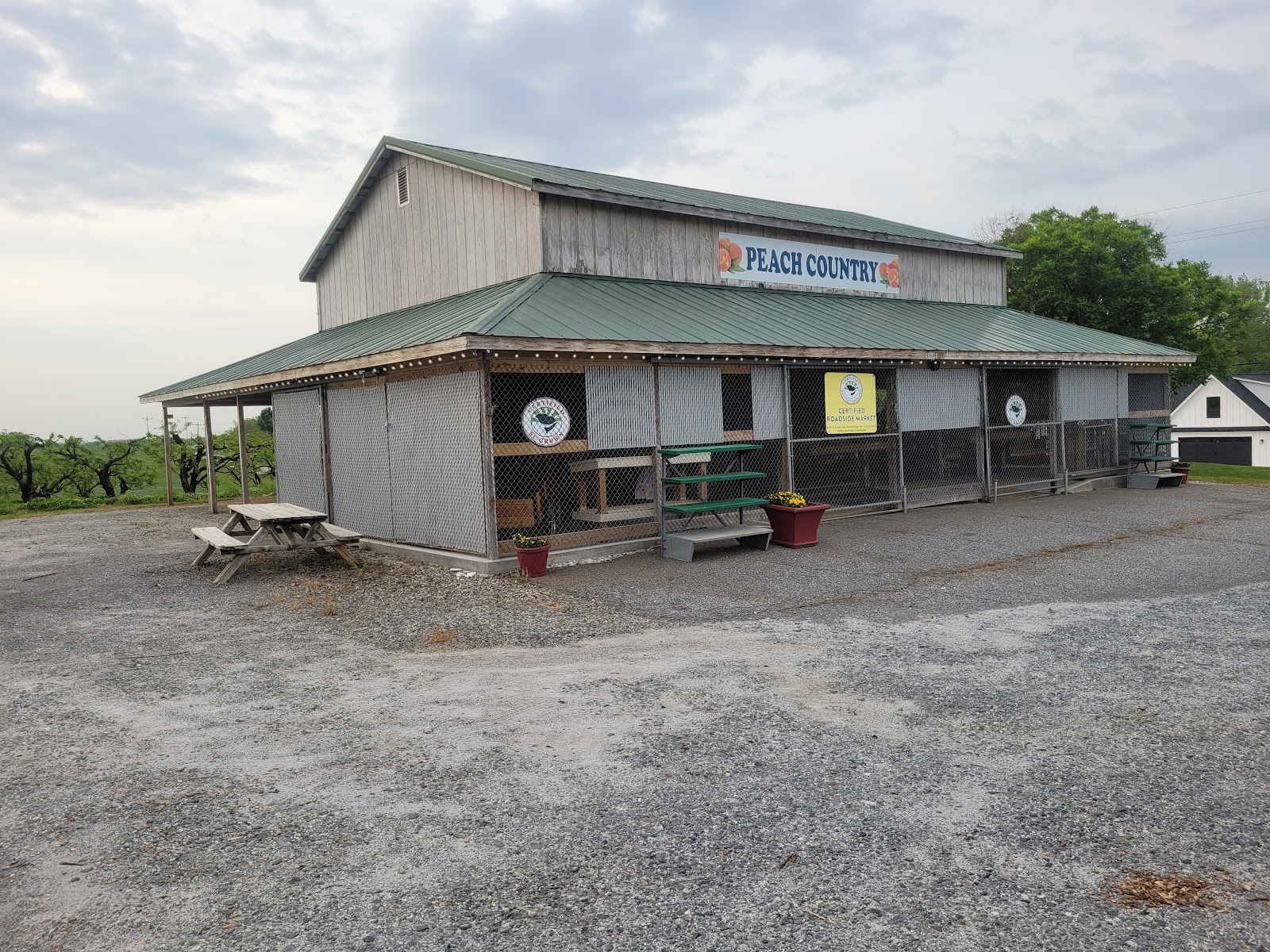 Peach Country photo 2