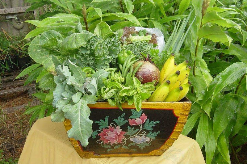 Eden Farms Hawaii photo 2