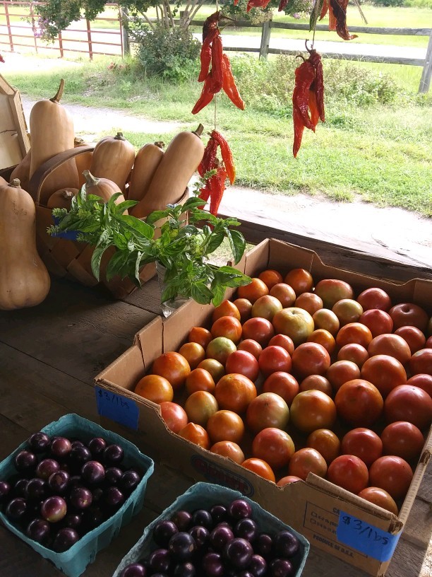 Inter-Faith Food Shuttle Tryon Road Farm Stand photo 28