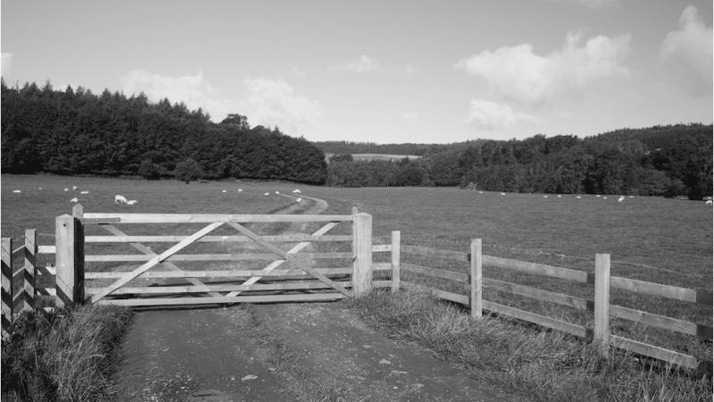 Black Diamond Ranch, LLC photo 12