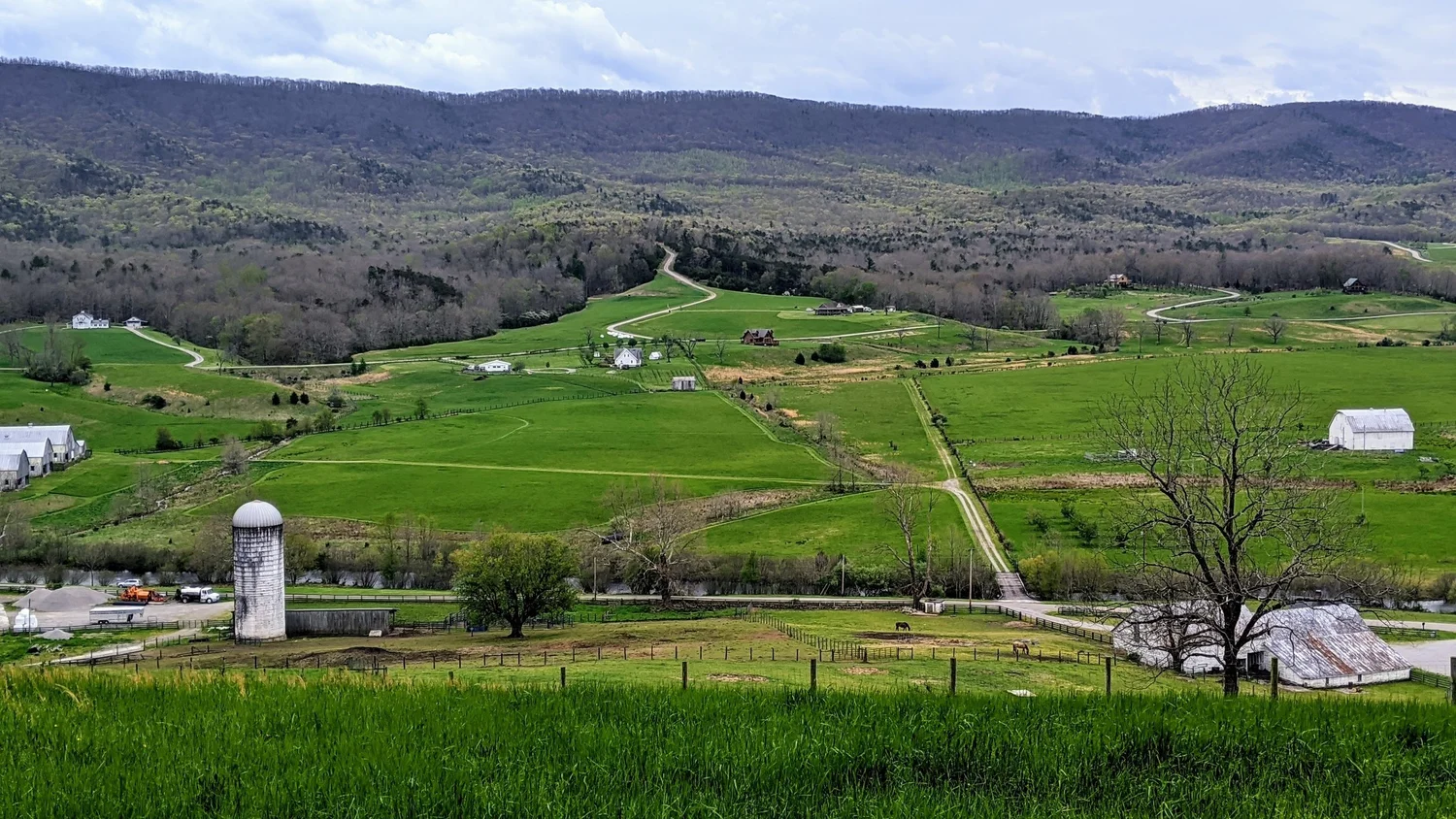 Black Diamond Ranch, LLC photo 13