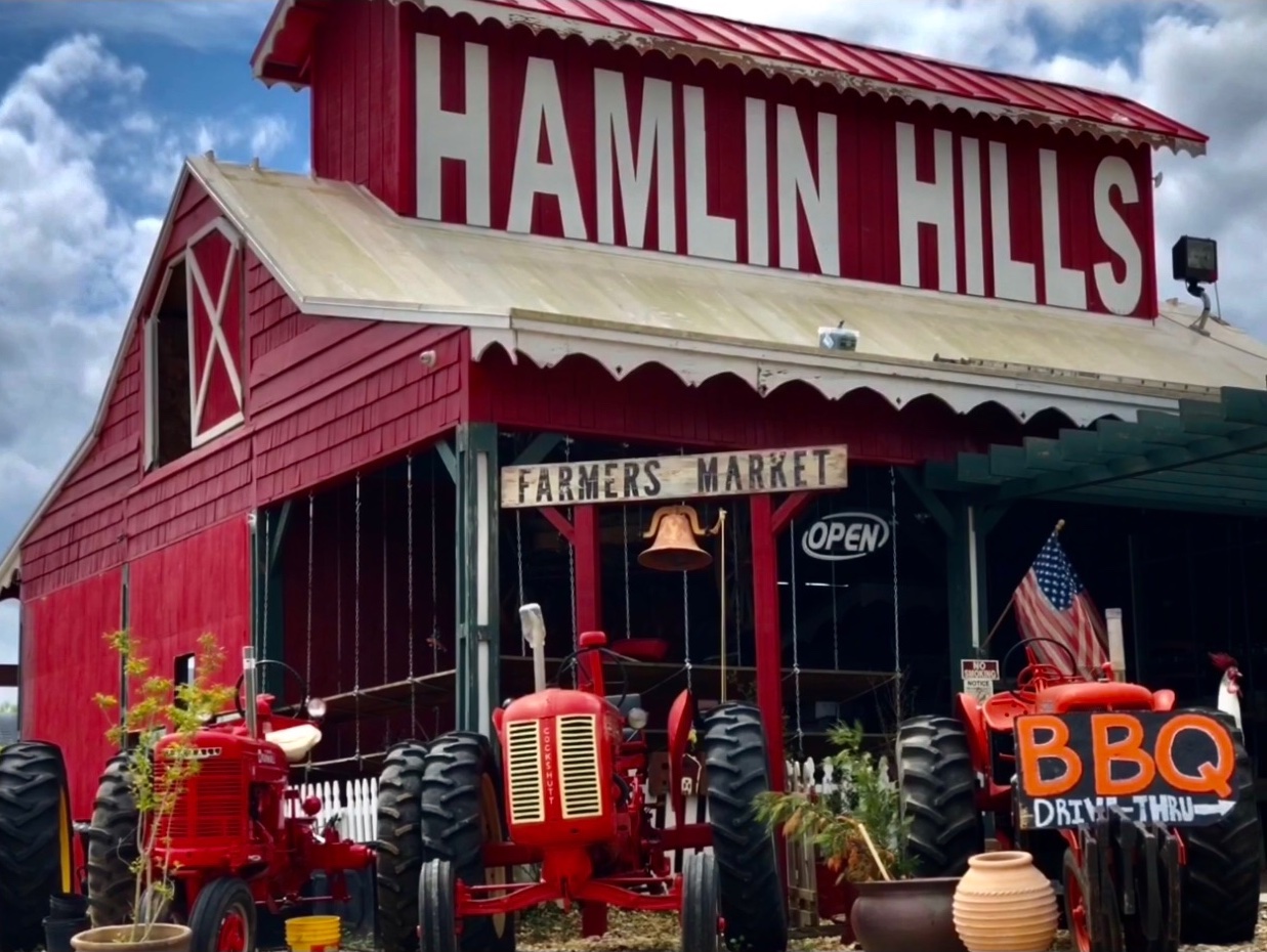 Hamlin Hills Farm photo 30
