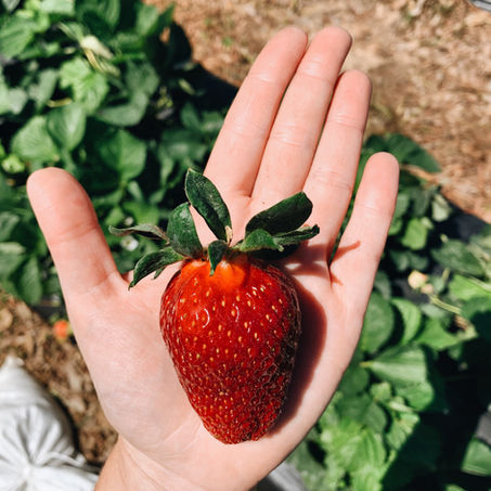 Cherry Place Farm photo 7