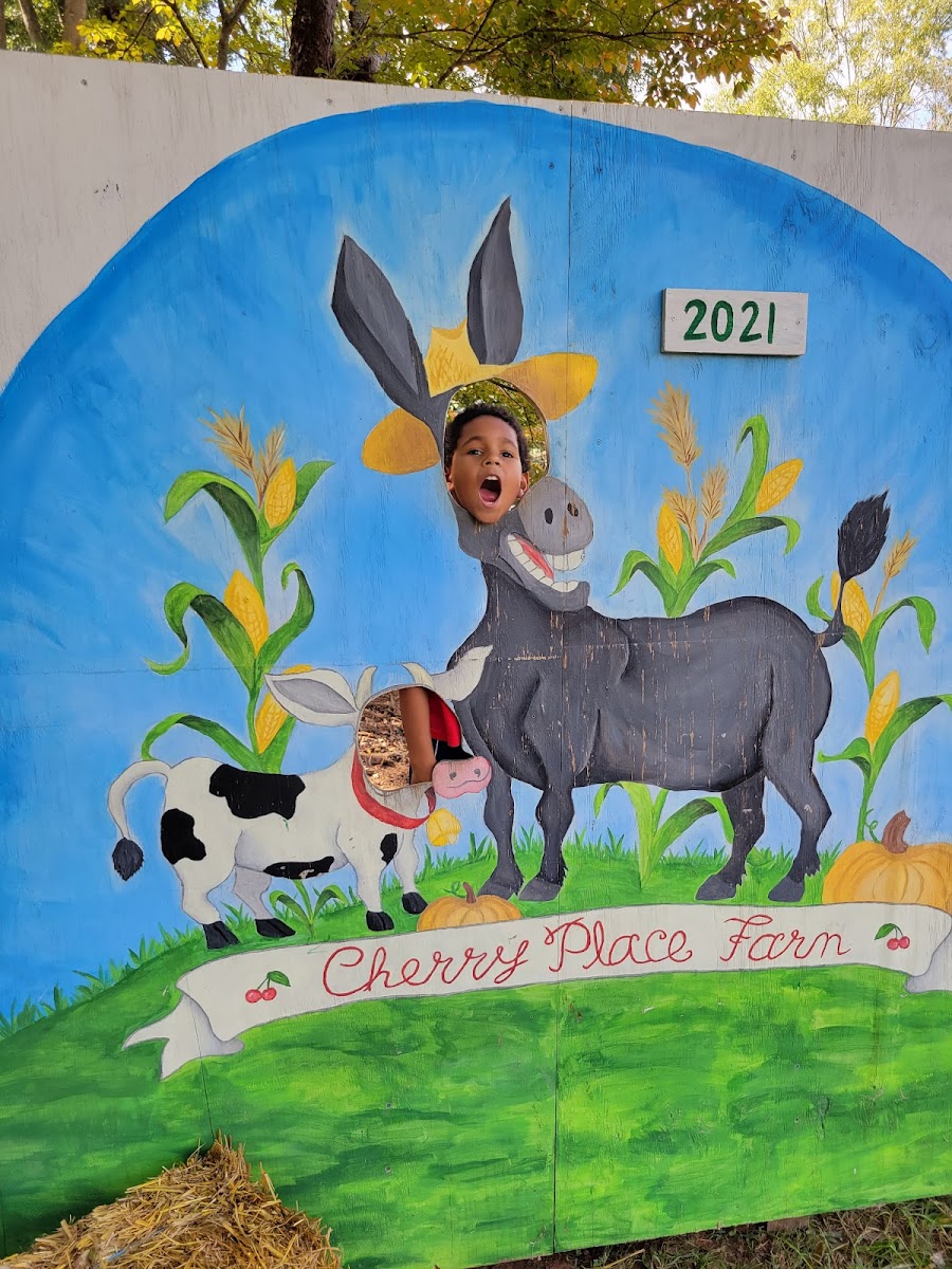 Cherry Place Farm