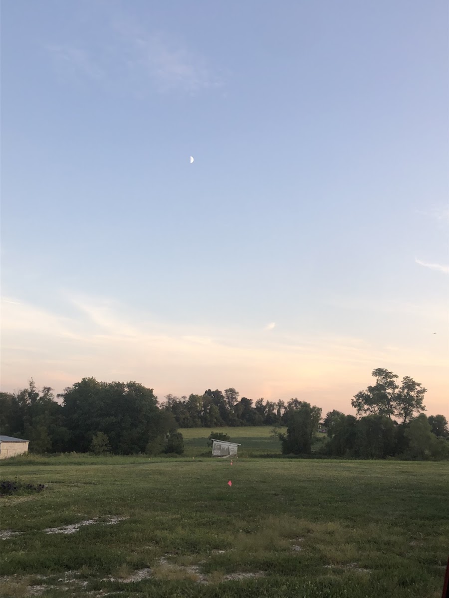Captain Family Farms photo 2