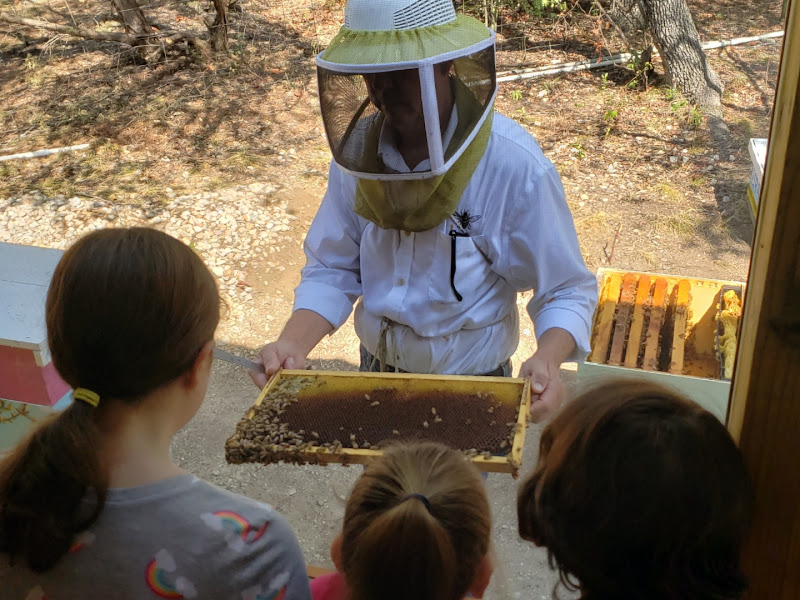 Texas Honey Bee Farm