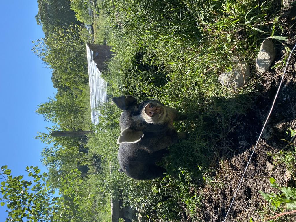 Edible Land Design, Inc.