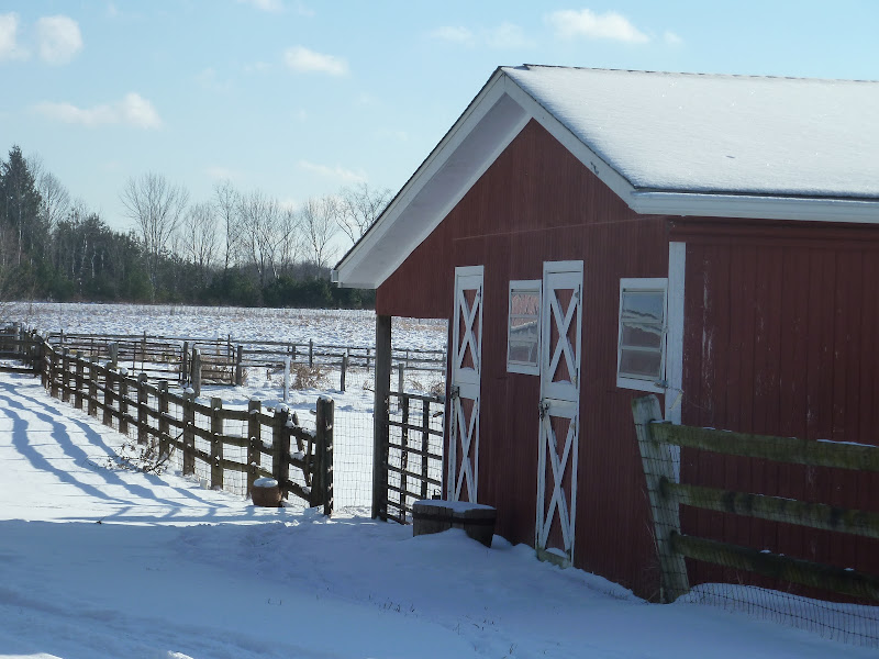 Chander Hill Farm photo 8