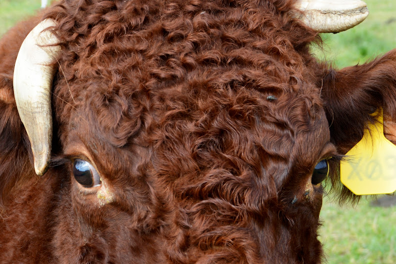 Chander Hill Farm photo 16