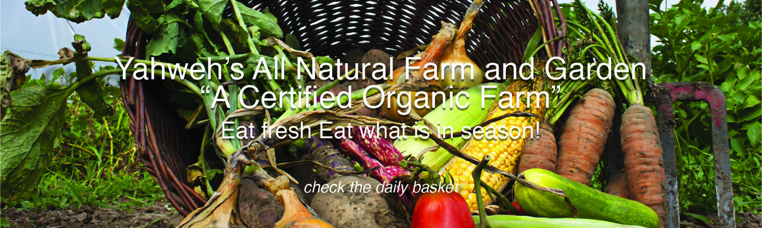 Yahweh's All Natural Farm and Garden