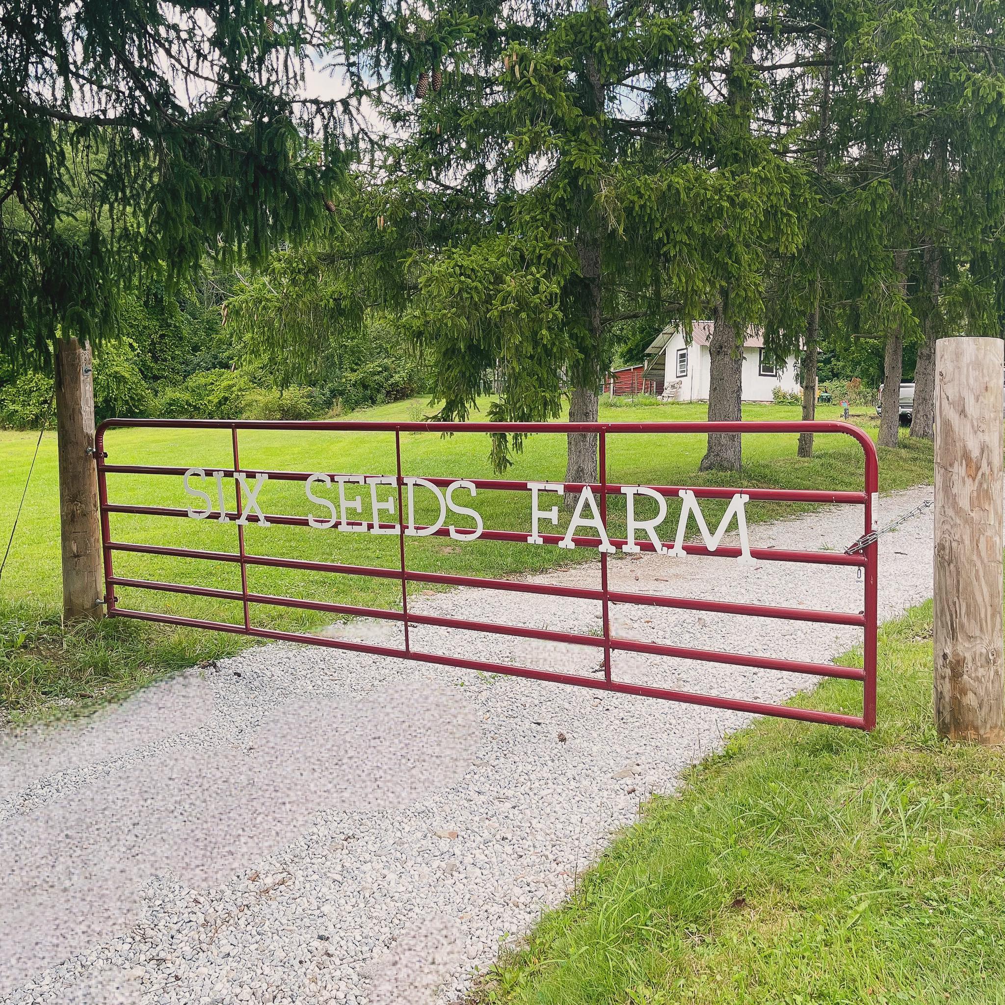 Five Seeds Farm