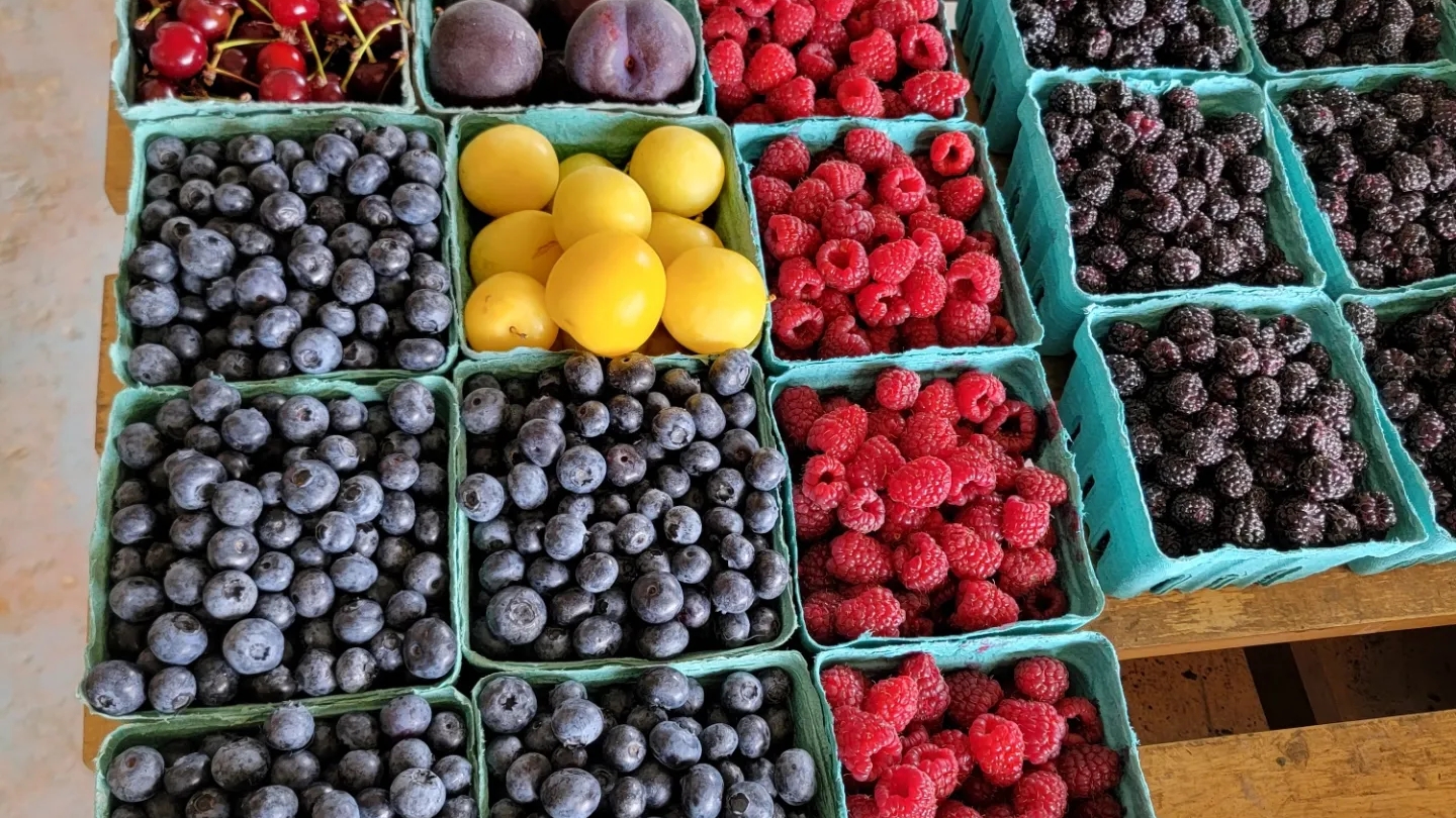 Ferris Farm Produce, Inc.