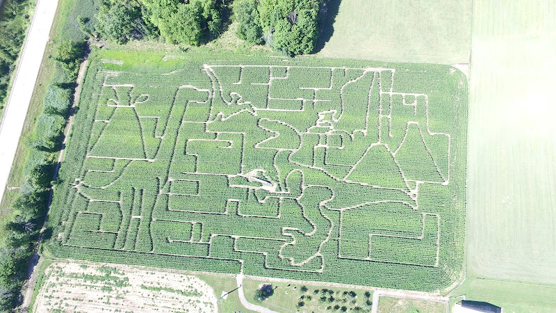 Skelton Farms %100 Grass Fed Beef