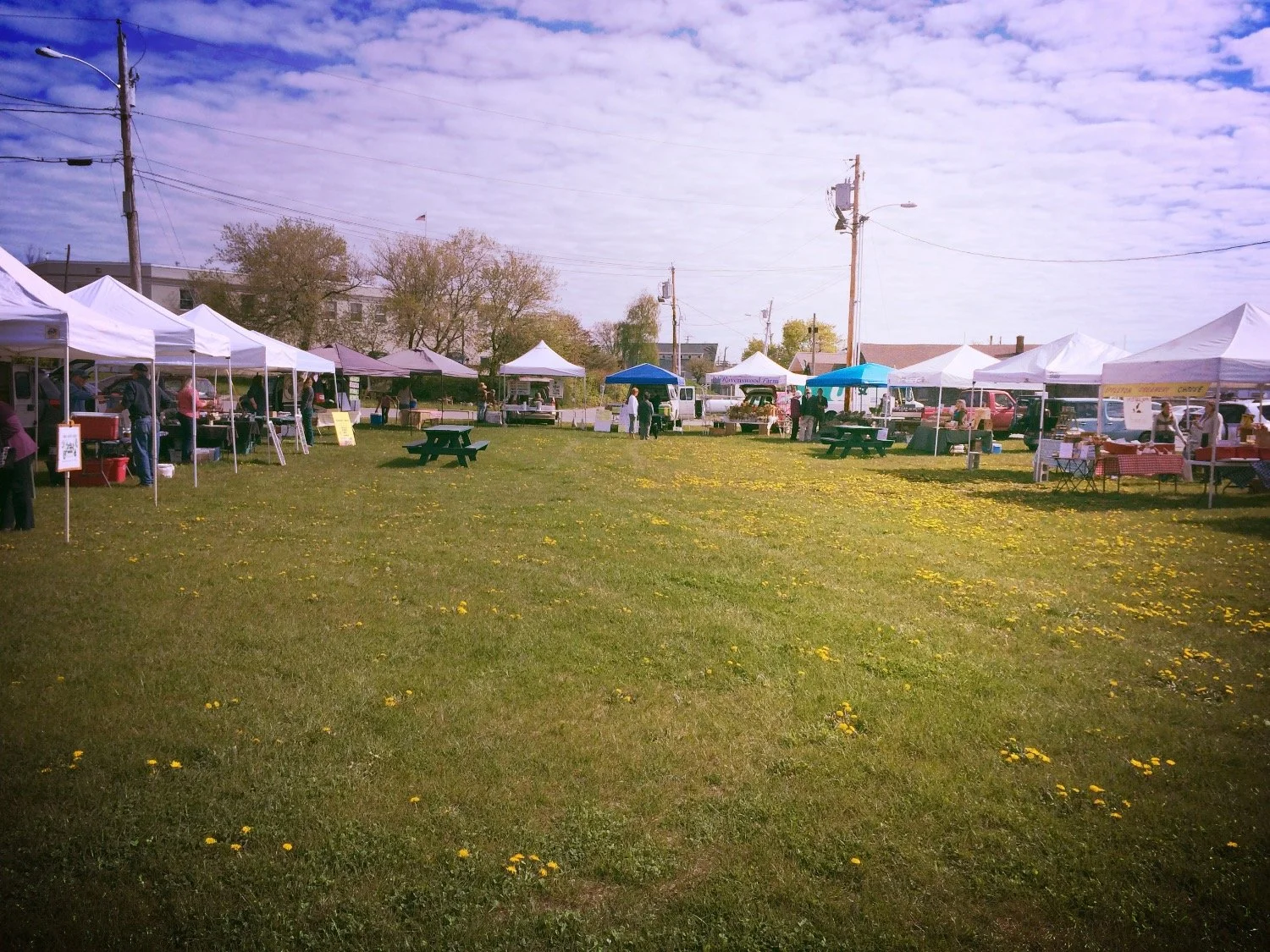 Rockland Farmer's Market