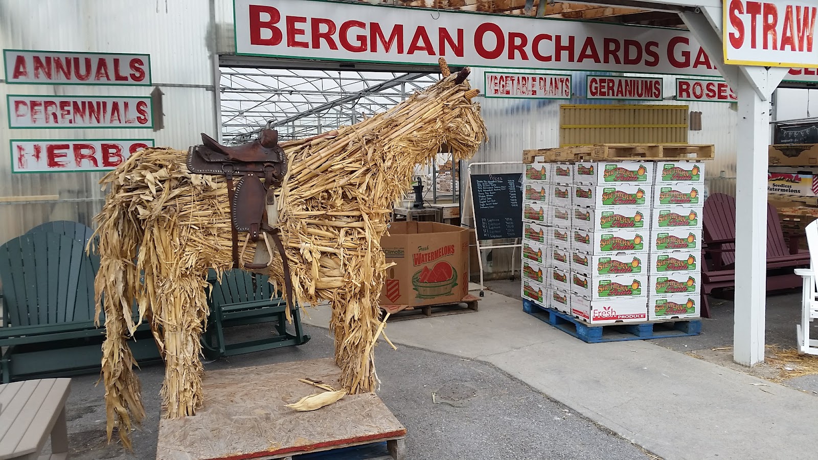 Bergman Orchards photo 2
