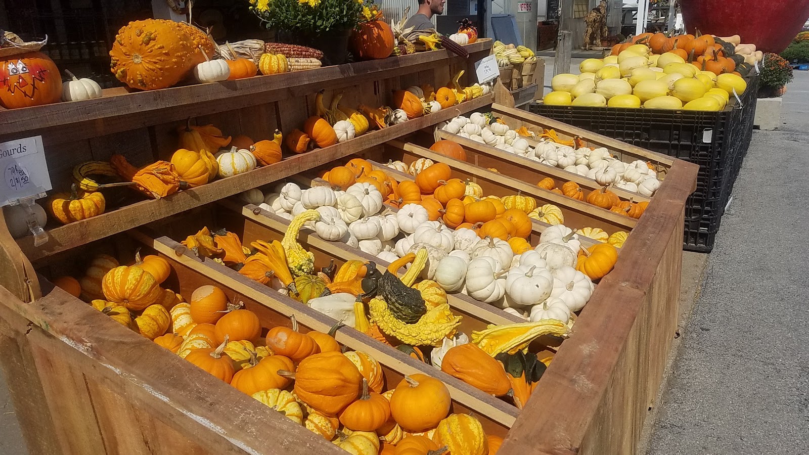 Bergman Orchards photo 3