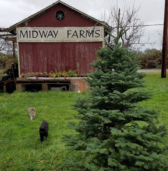 Midway Farms Educational Programs