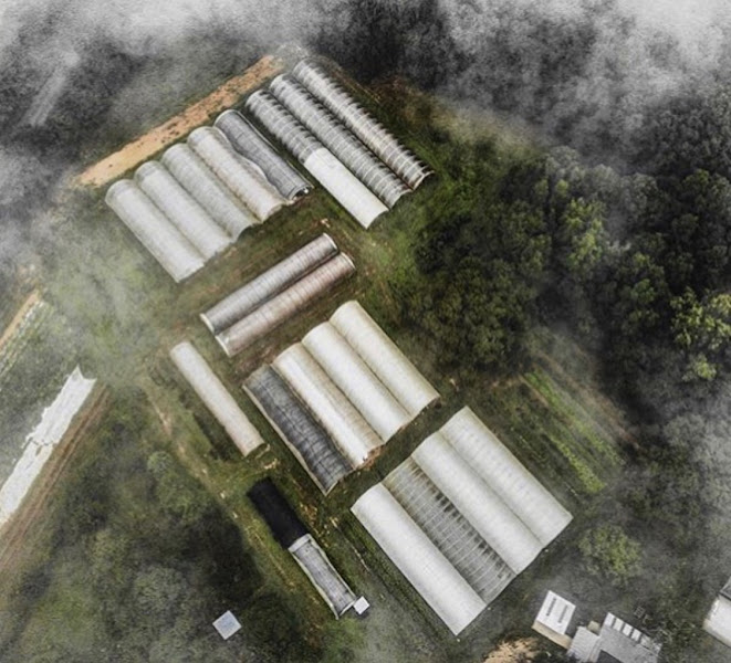 Crystal Organic Farm photo 29