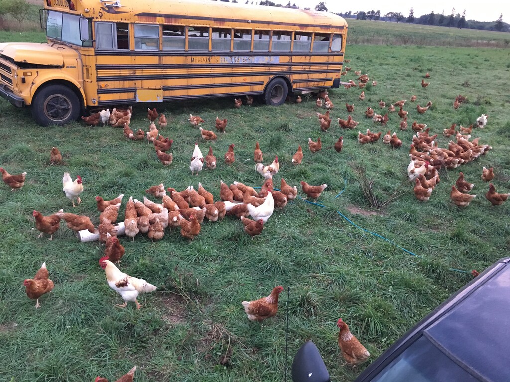 Eichorn Family Farm LLC