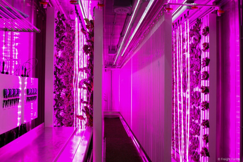 Enlightened Crops Farm