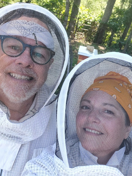 honey b hives