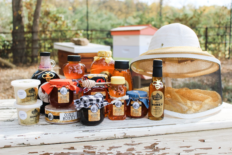 honey b hives photo 3