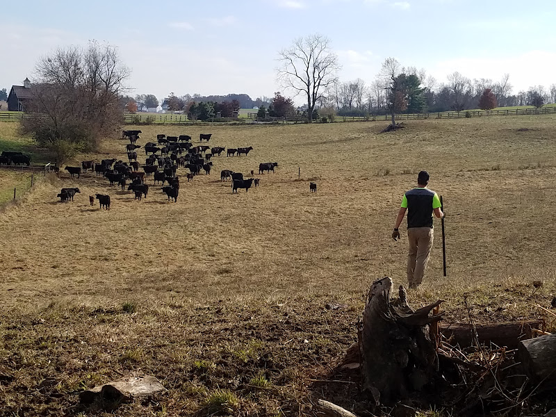 Johnsville Meadows Farm photo 8
